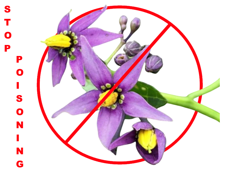 How to easily unpoison your images